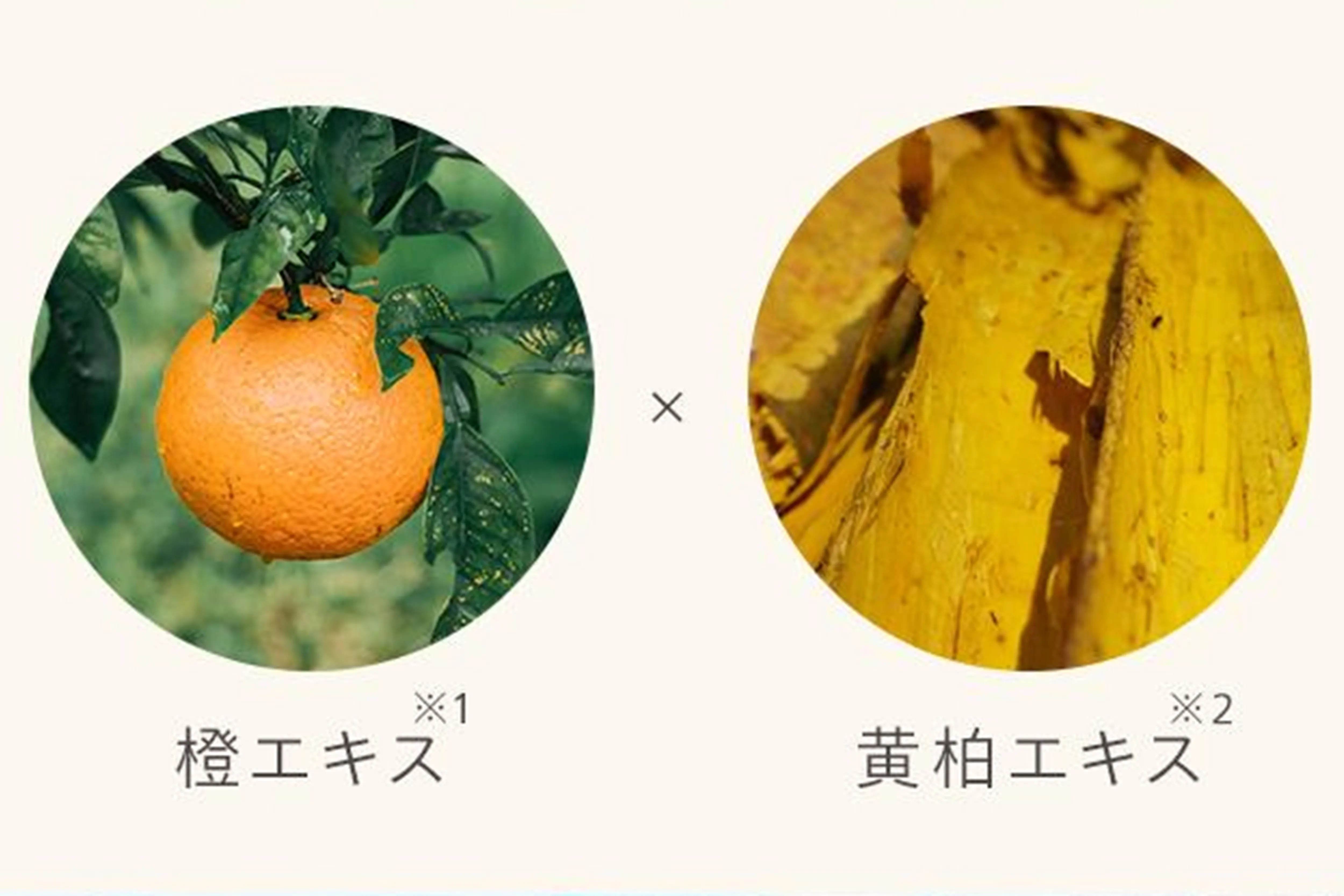 Nオーガニック 成分