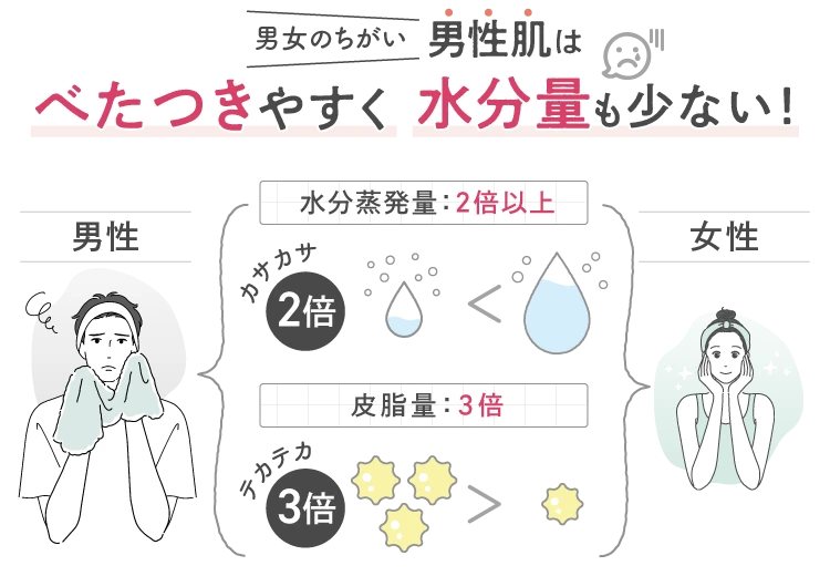 男女の肌の違い